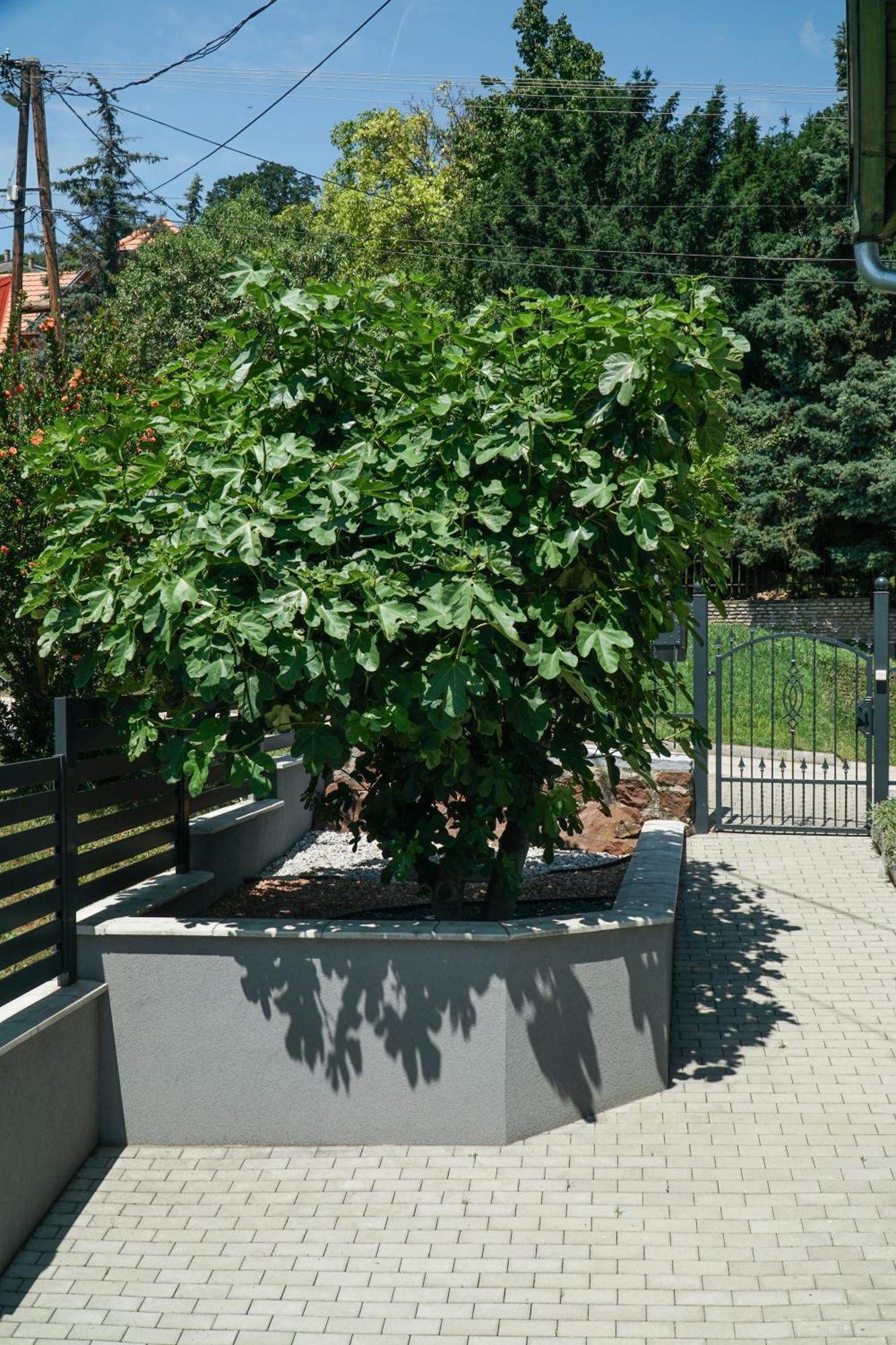 Fuegefa Apartman Balatonalmádi Esterno foto